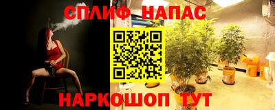 каннабис Донской