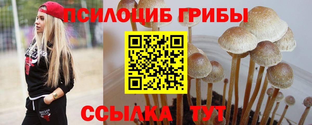 Галлюциногенные грибы ЛСД  Вход с VPN  Галлюциногенные грибы Psilocybe  Гуково 