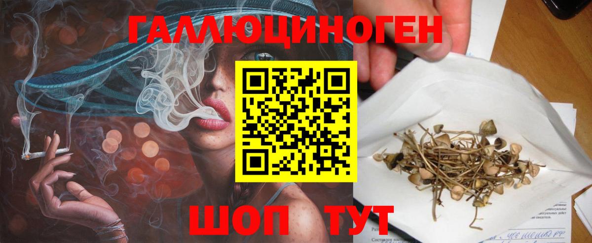 Галлюциногенные грибы прущие грибы Гуково